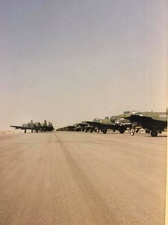 140+ A-10s KFIA Hog Walk Mar 1991