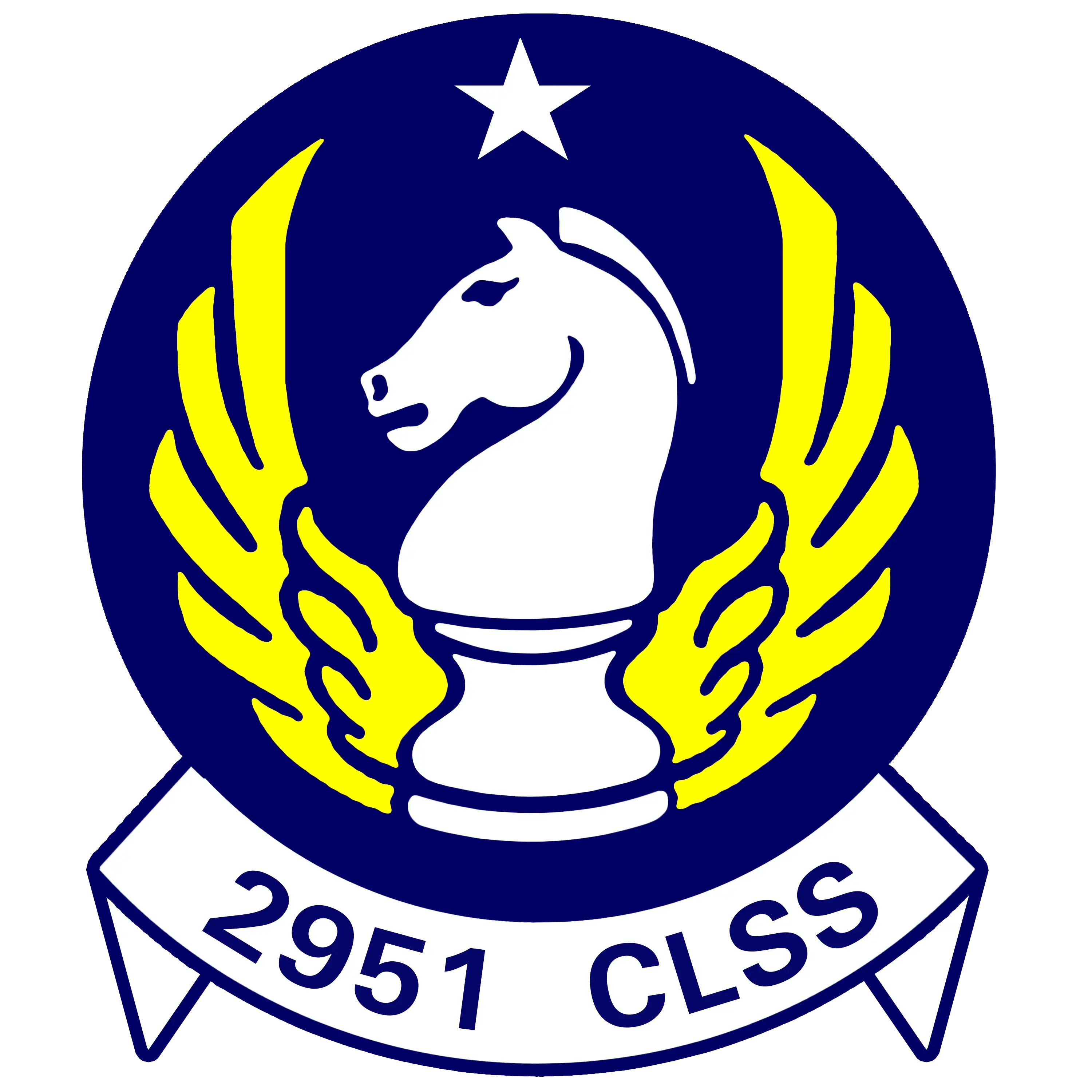 2951 CLSS Patch