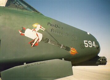 A10 Warthog Nose Art
